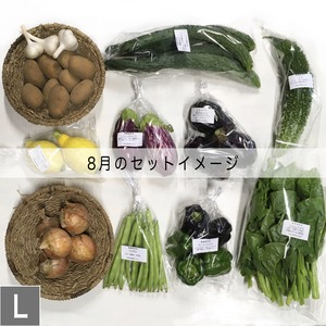 無農薬野菜 ［L］セット　-定期１週１回- 　お届け曜日 (火) (土)