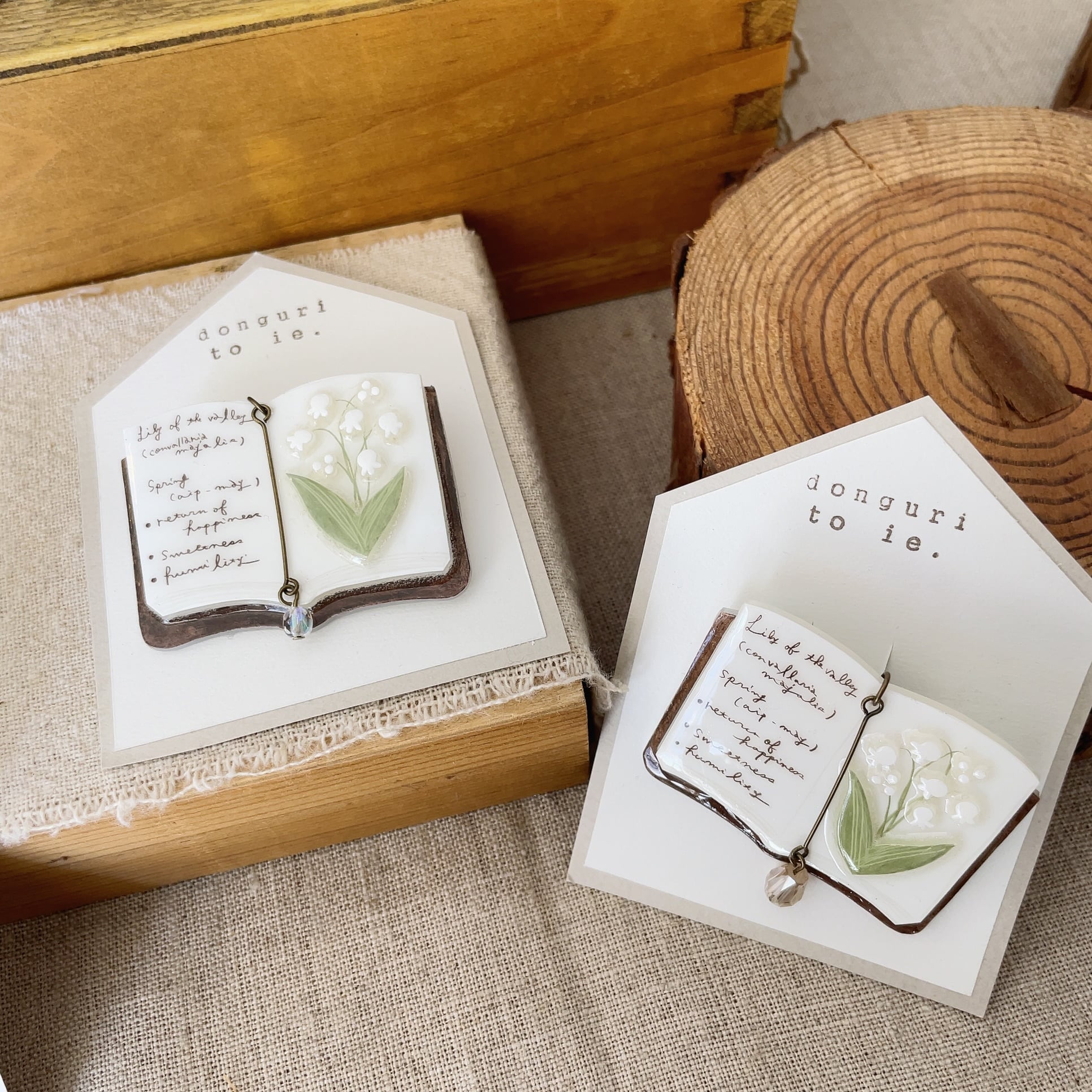 donguritoie./植物図鑑/ブローチ