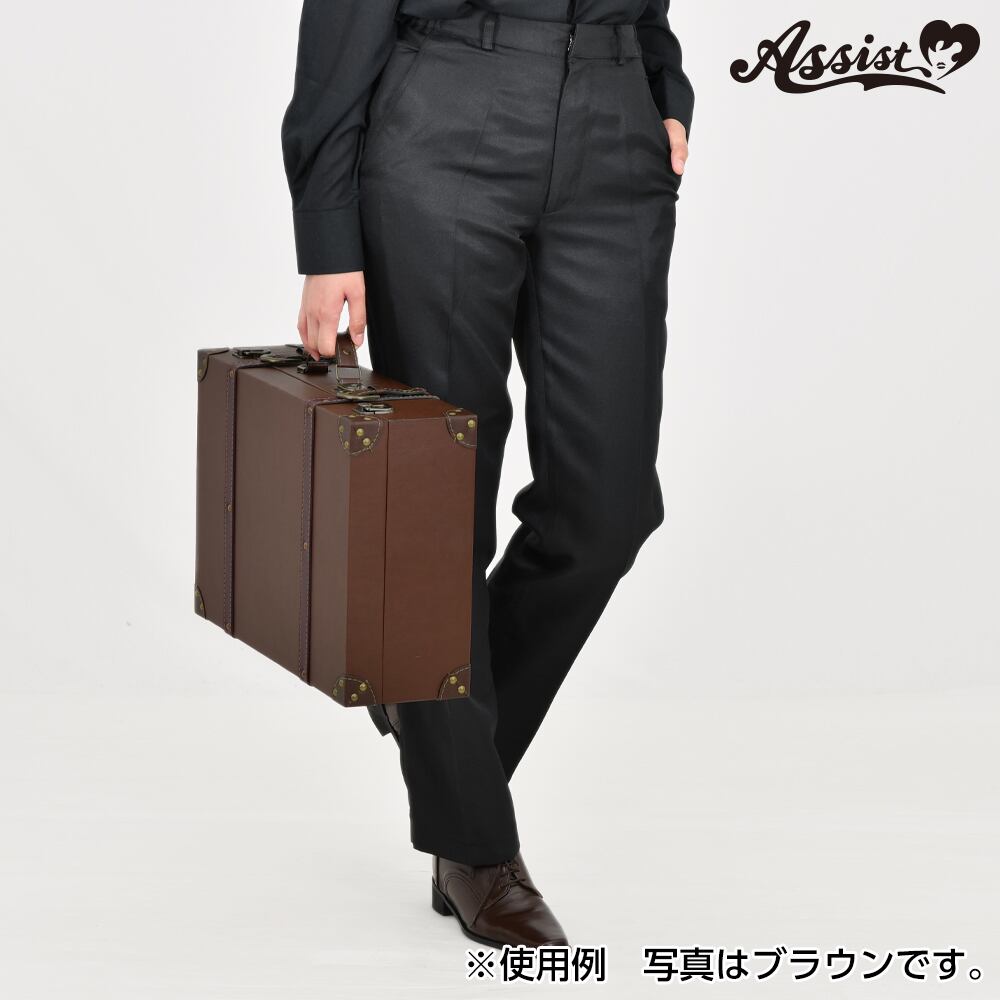 アシストウィッグ【コスプレ用トランクケース】アシストオリジナル