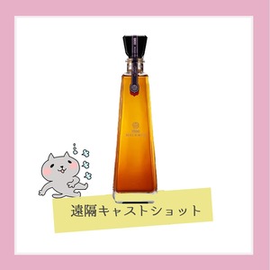 遠隔キャストショット1800ミレニオ