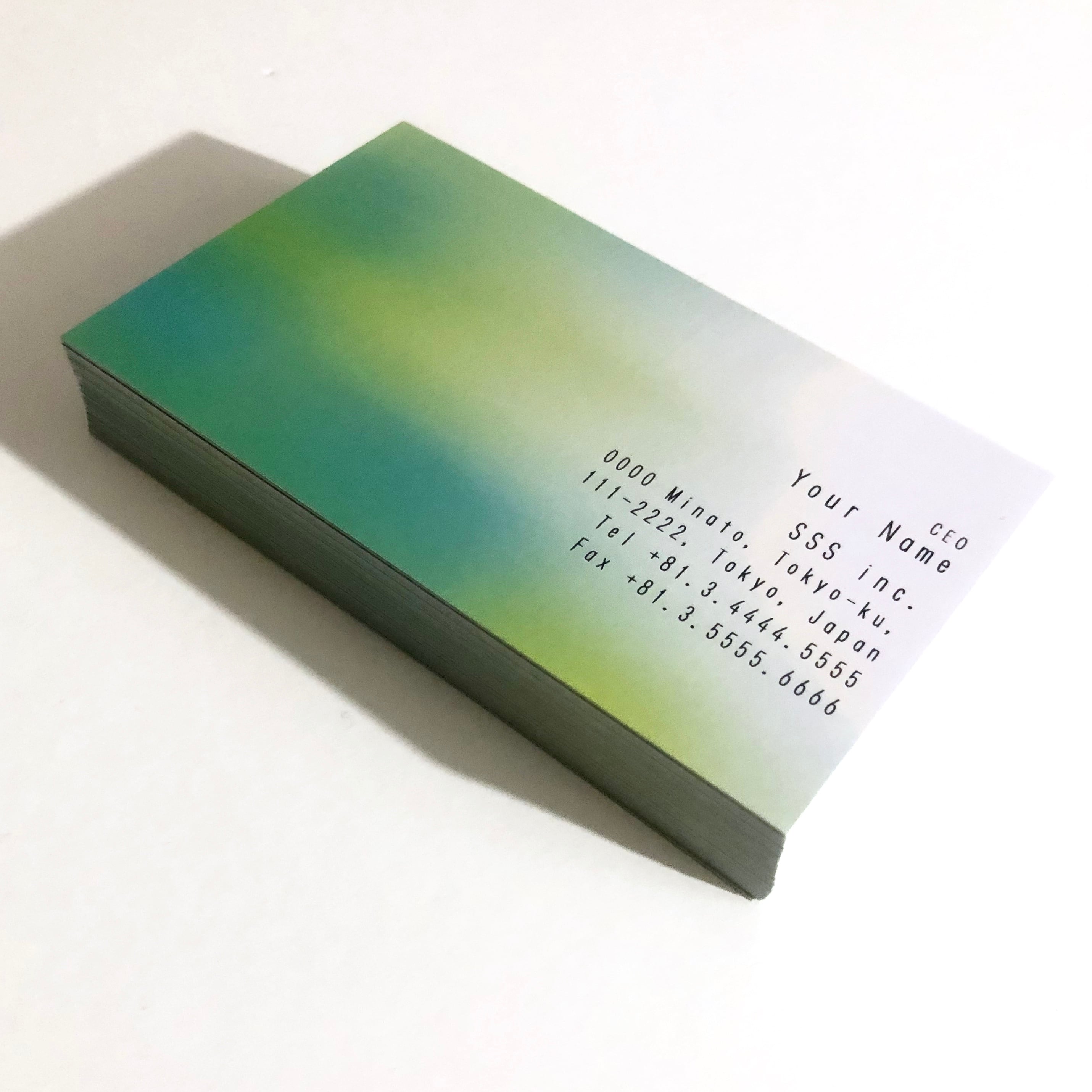 69d1_biz【100枚】ビジネス名刺【英表記】 | CARD SHOP SSS