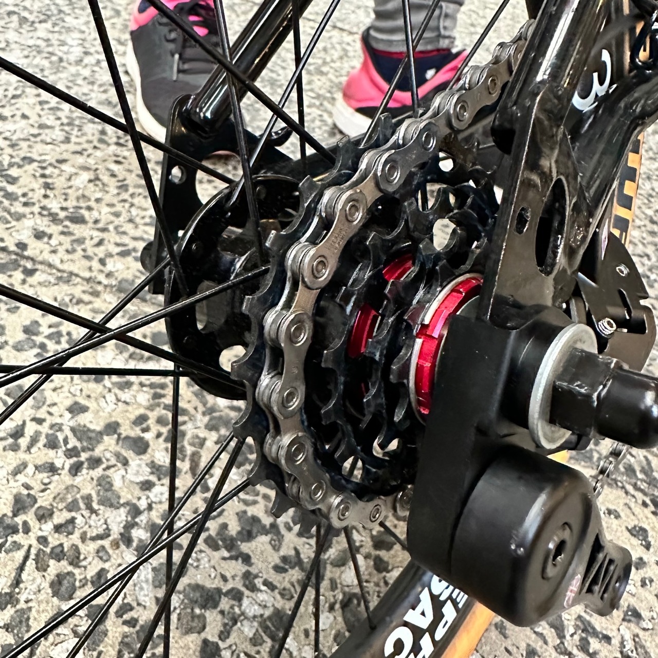 H&H × Joseph Kuosac / 5speed Wheel Sets [Brompton C-Line]