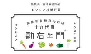 初回のみお試しセット