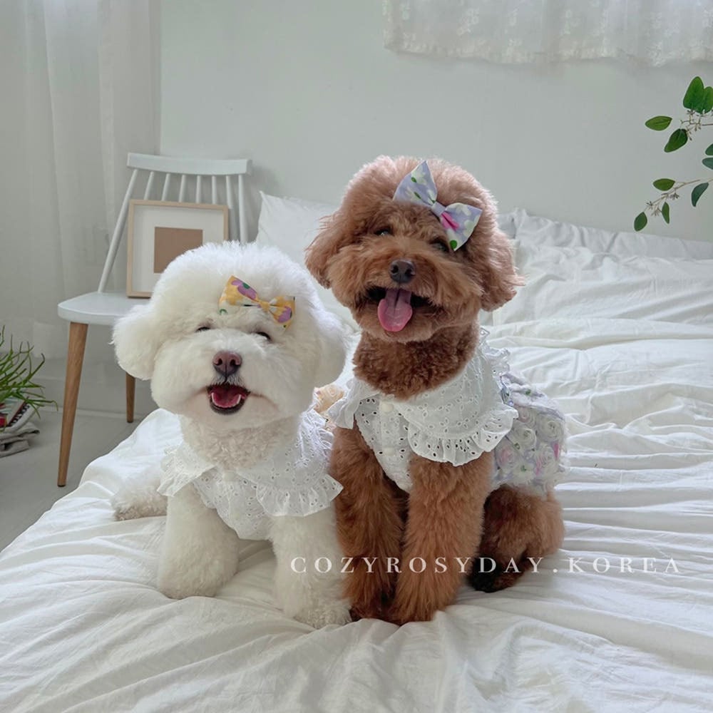 即納販売 lalaland hairpin ララランド ヘアピン（犬用ヘアピン）韓国