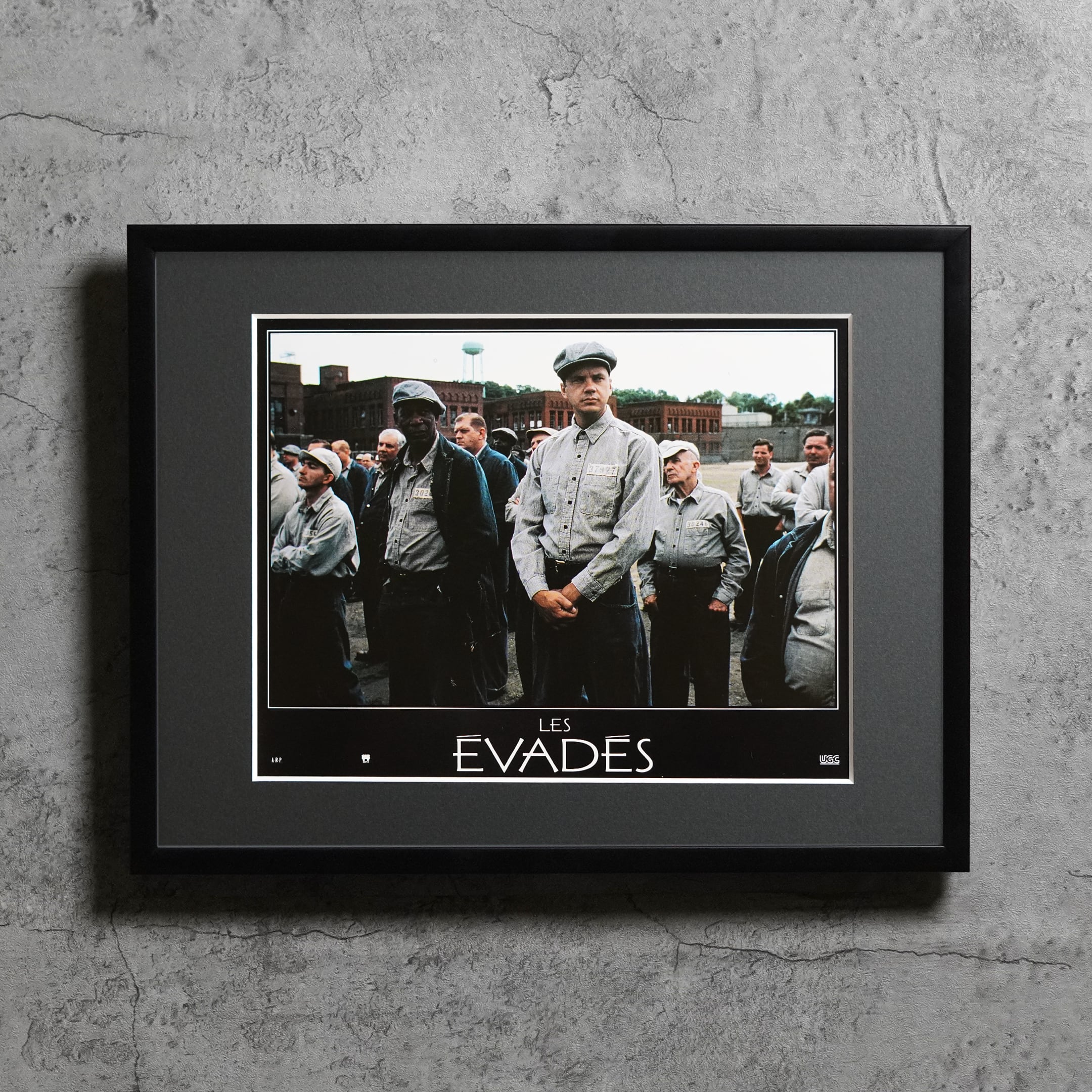 1994(1995) / The Shawshank Redemption / French lobby card / 396x306mm【LC00000237104】