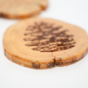 ADVENTURE 16/Wood Art Coaster