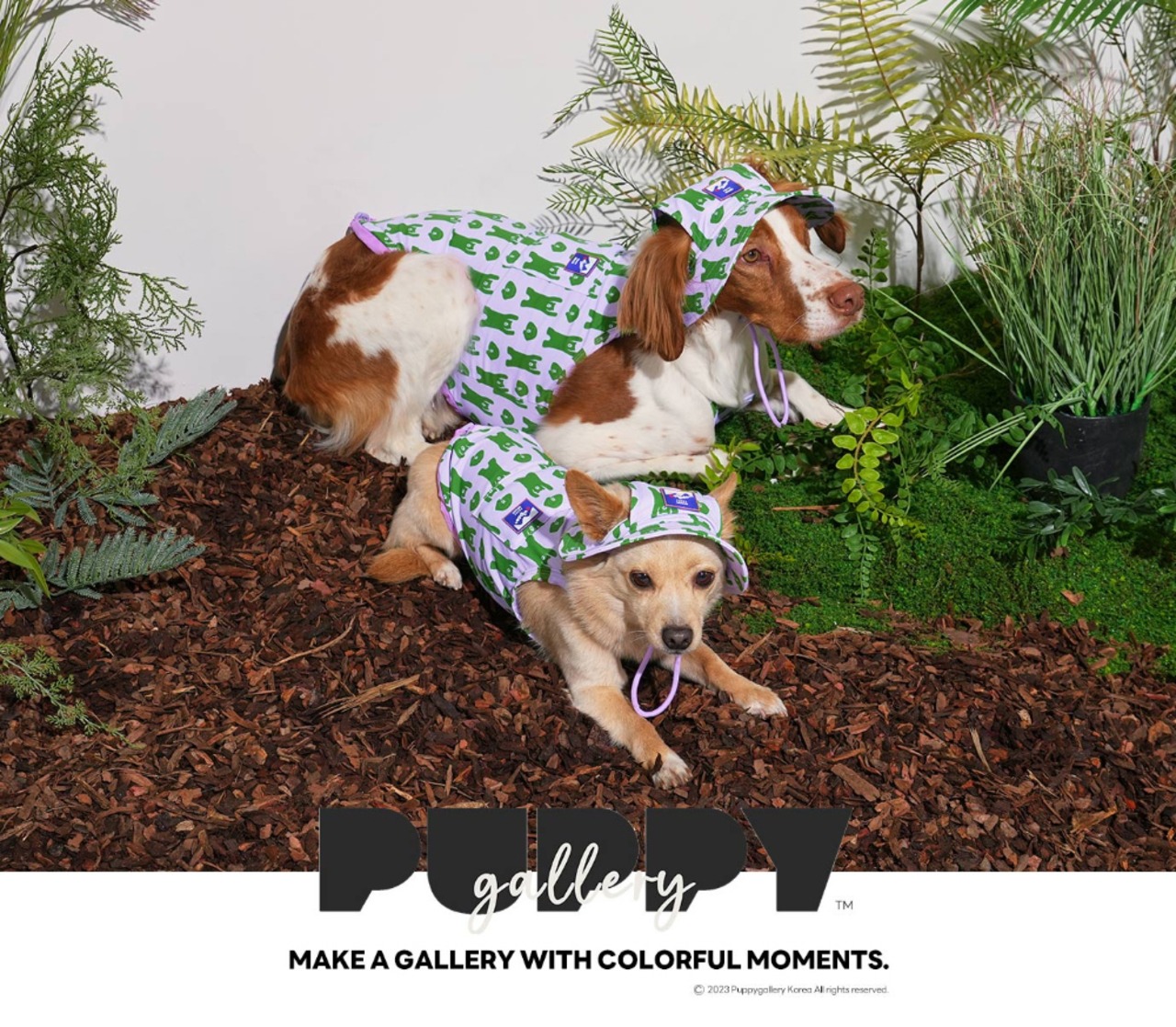 【PUPPYGALLERY公式】Bouncing Bear Bucket Hat　S　