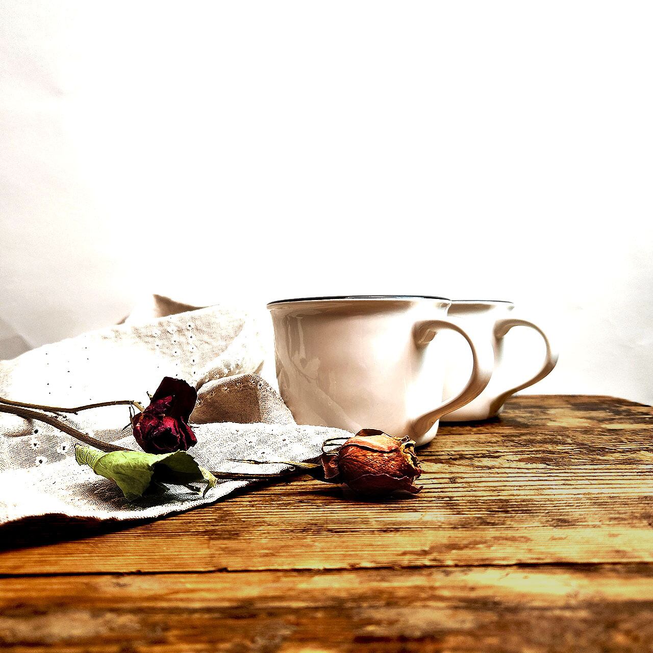 ジアン チューリップ ノワール デザートプレート22cm 新品 箱付き GIEN