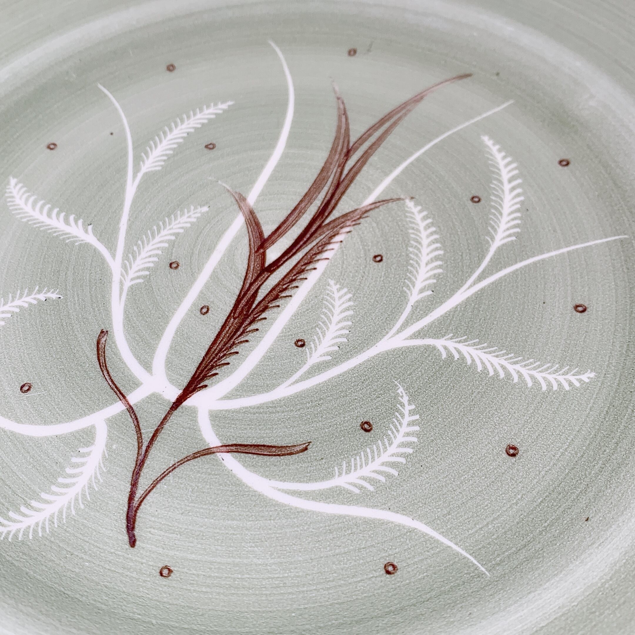 スージークーパーSusie Cooper 25.5 cm ディナープレート スージークーパーSusie Cooper 25.5 cm ディナープレート 【公式通販】