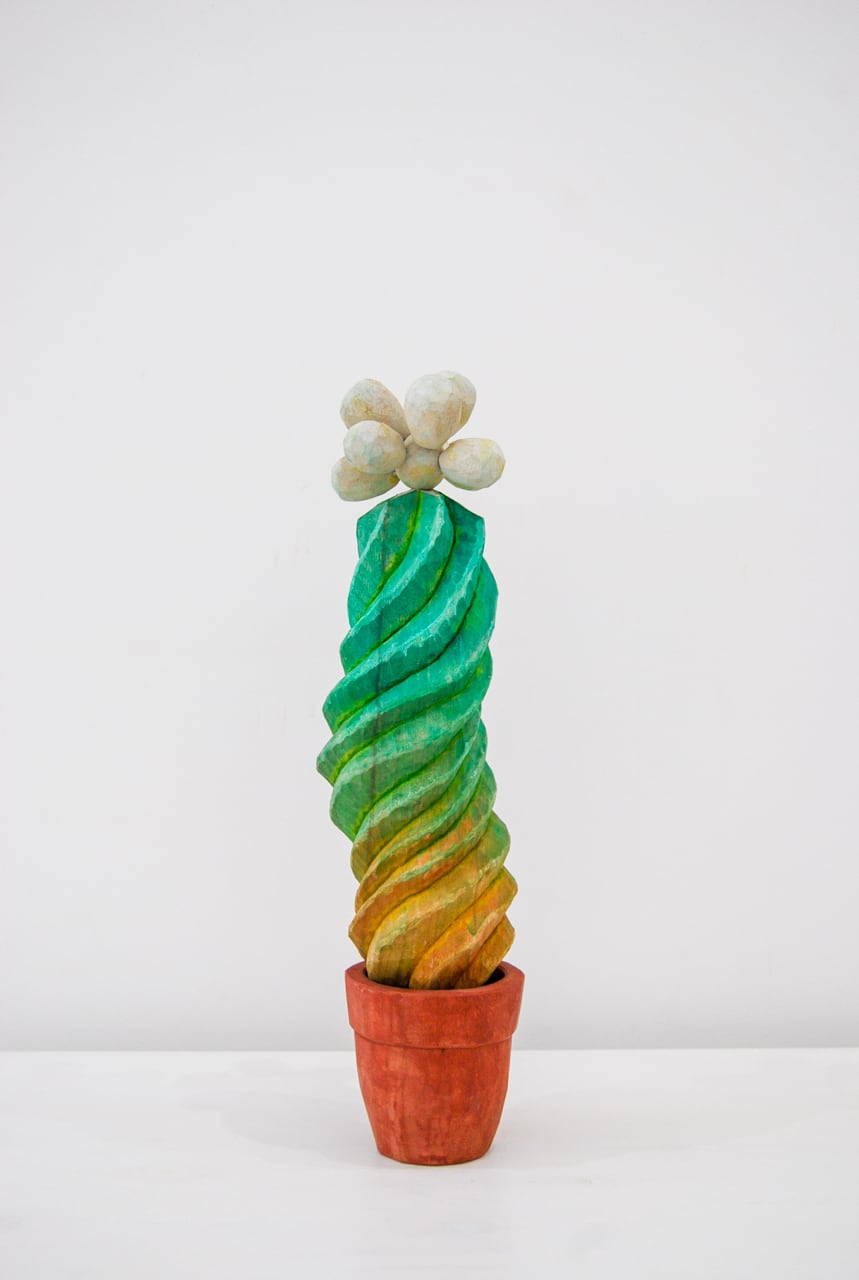 山崎悠人｜サボテン | kohtoh online store