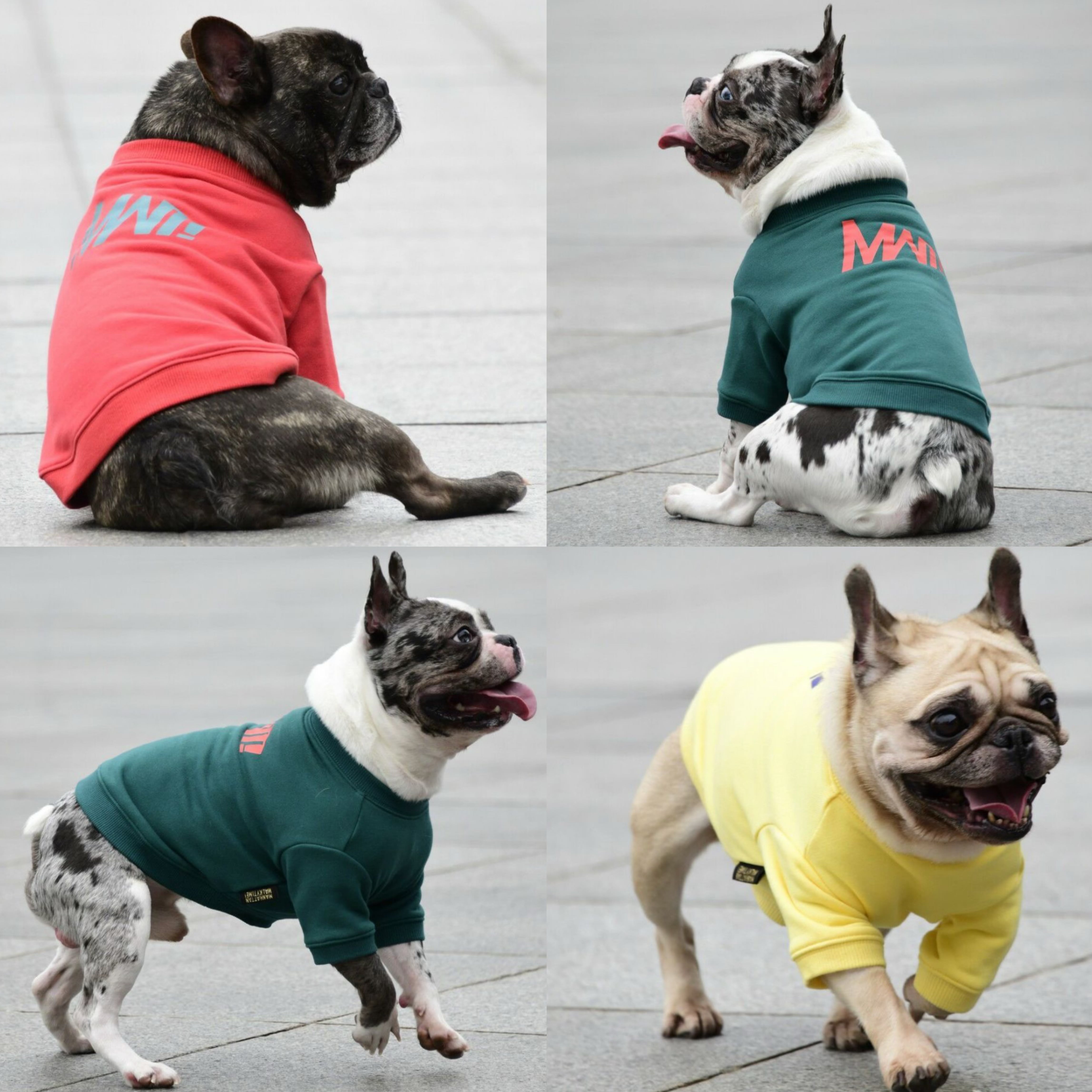 フレブルサイズ【MWT!】ロゴスウェットシャツ