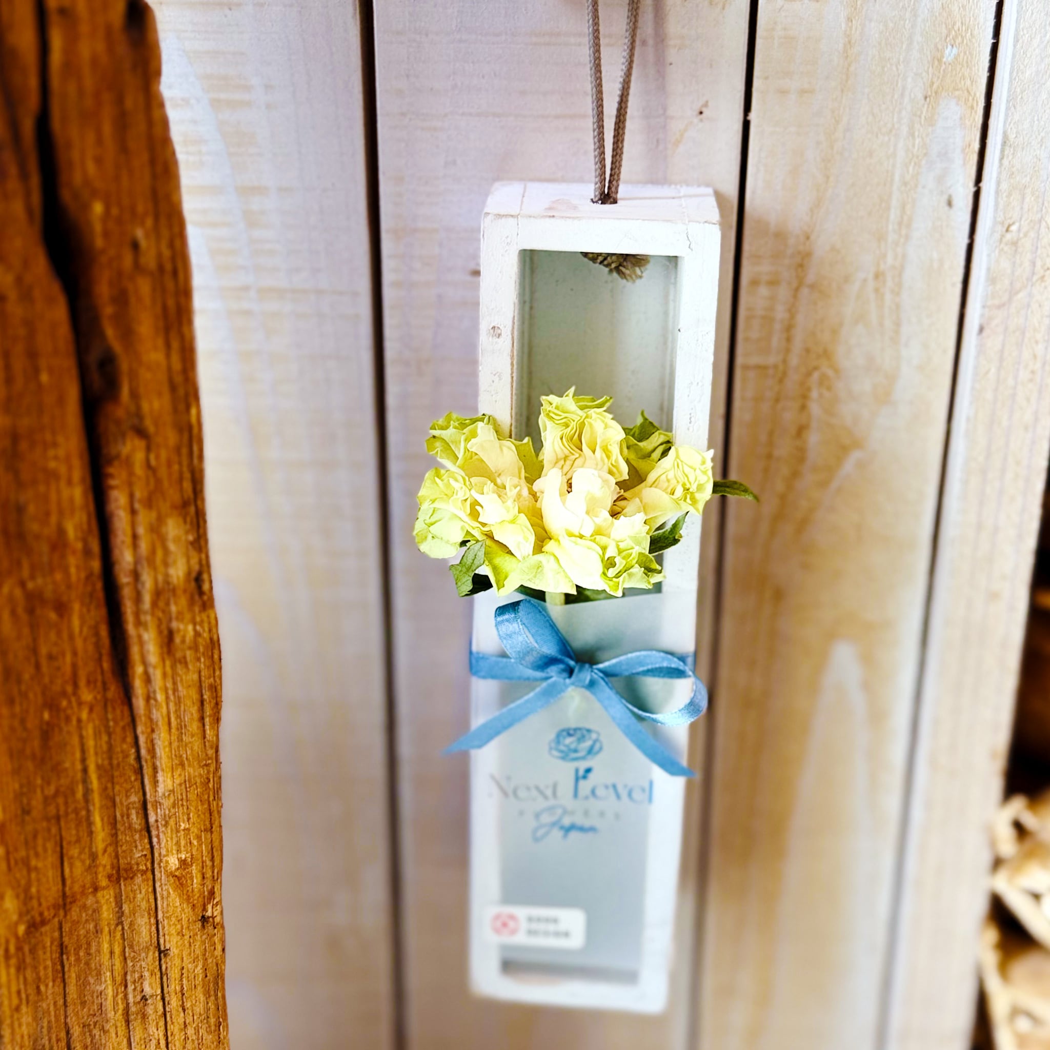 植物標本「花いちりん」S ゼロフラワーフリーズドライフラワー