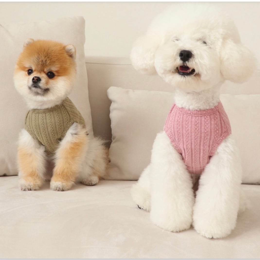 即納販売 cloud crop vest ニットベスト [odetopet] 韓国犬服
