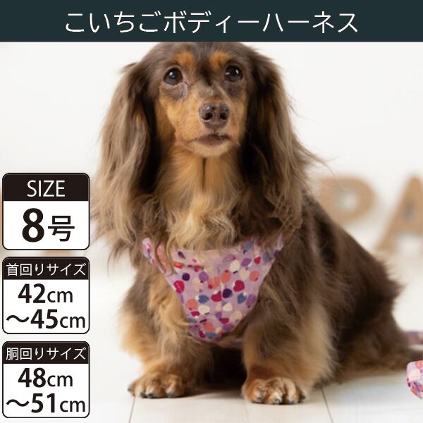 Toto&Pal(トトパル) ボディーハーネス・こいちご(8号)