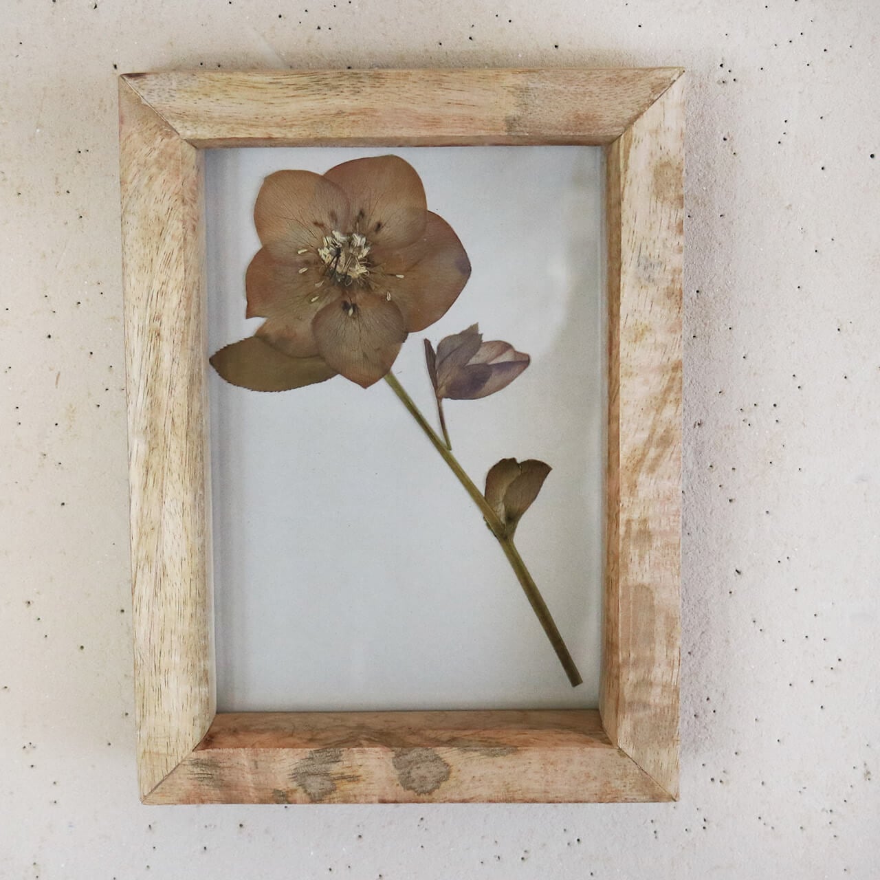 1点もの ・ 2L判】ボタニカルフラワーのアンティークフレーム A