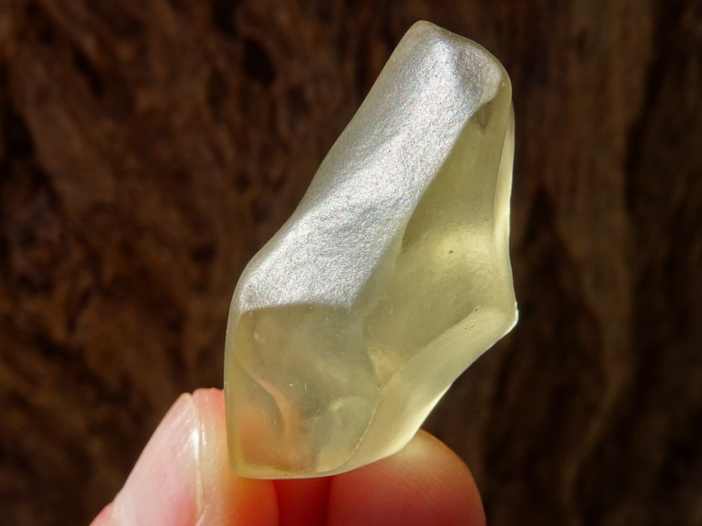 リビアングラス ~Cosmic Yellow~