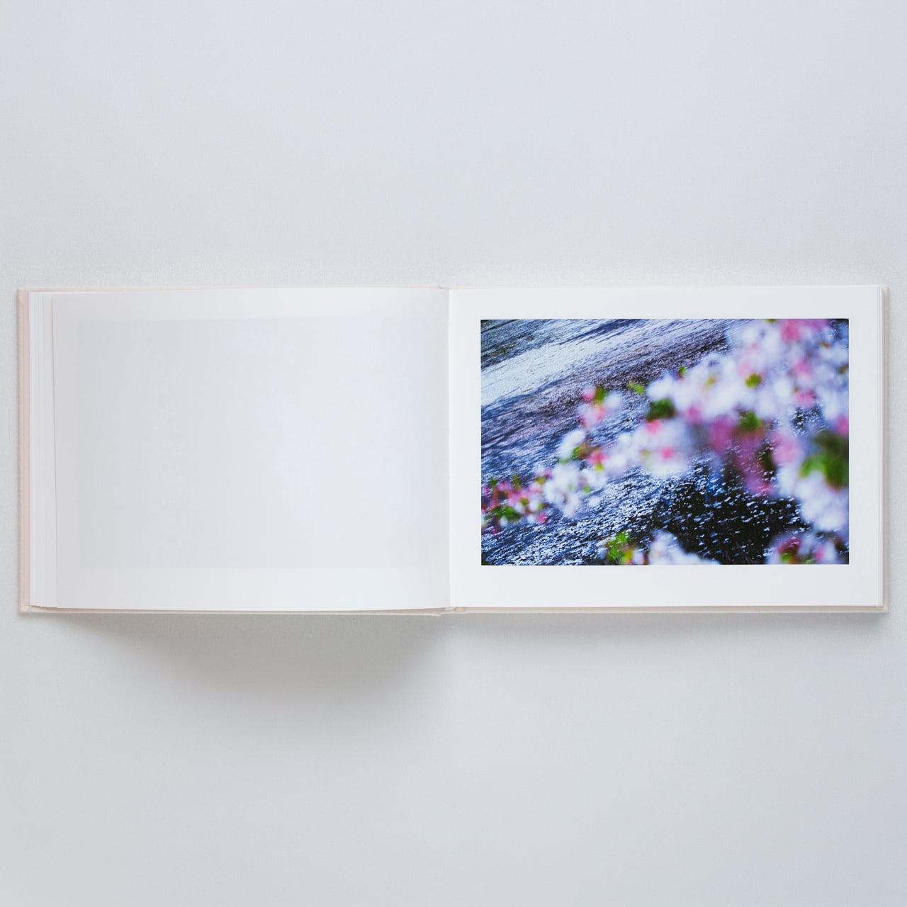 【サイン入】蜷川実花: VIRA [Sky Edition] 蜷川実花：VIRA【表紙：SKY Edition】☆著者サイン入り | bookshop M