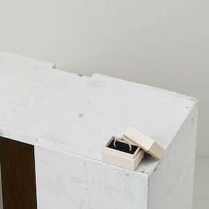 【NEW】ミニミニコンビボックス ピンキーリング・ベビーリング ミニシリーズ 20個単位 AR-RE219 【NEW】ミニミニコンビボックス ピンキーリング・ベビーリング ミニシリーズ 20個単位 AR-RE219