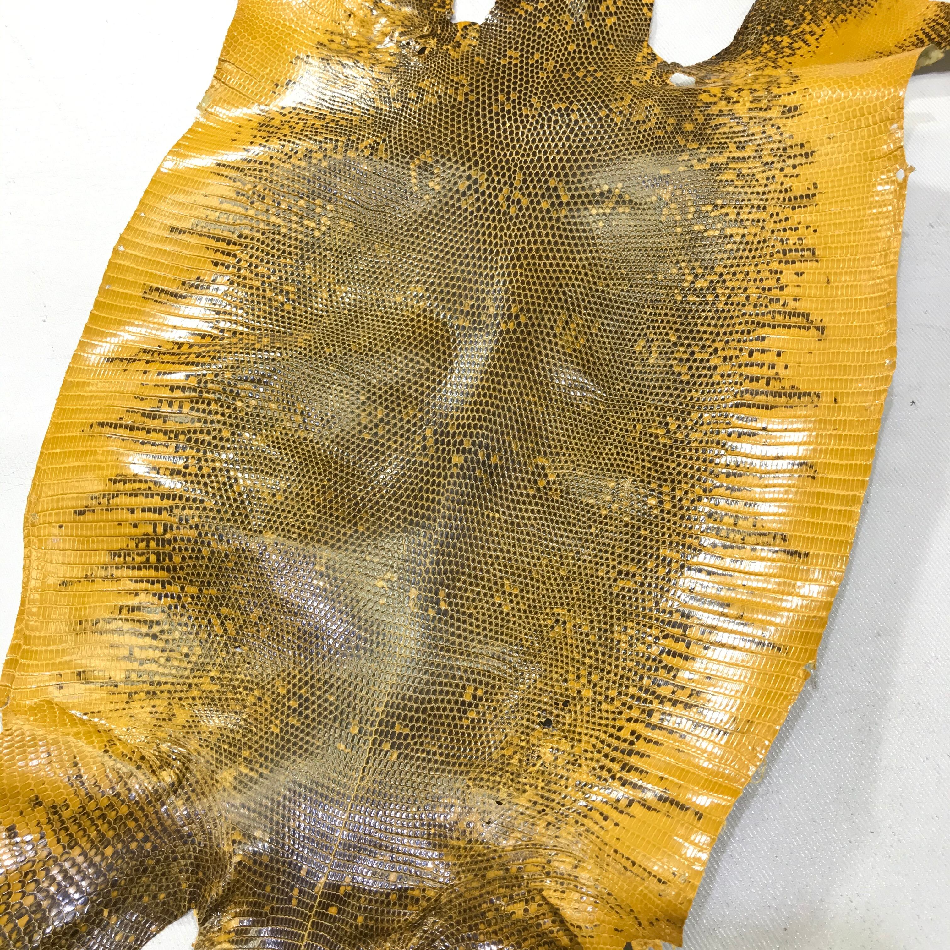 リングマークトカゲ革【約20㎝幅】C8D-055 ※浅草橋中央店販売商品