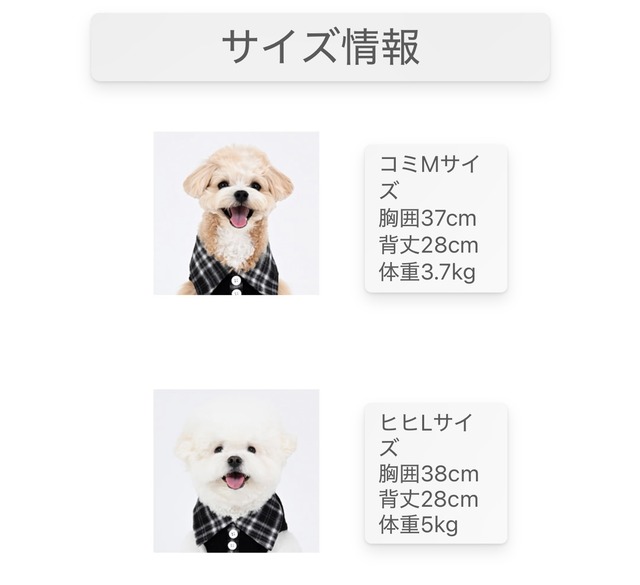 足を通さないウェア ‐ (CREAM)