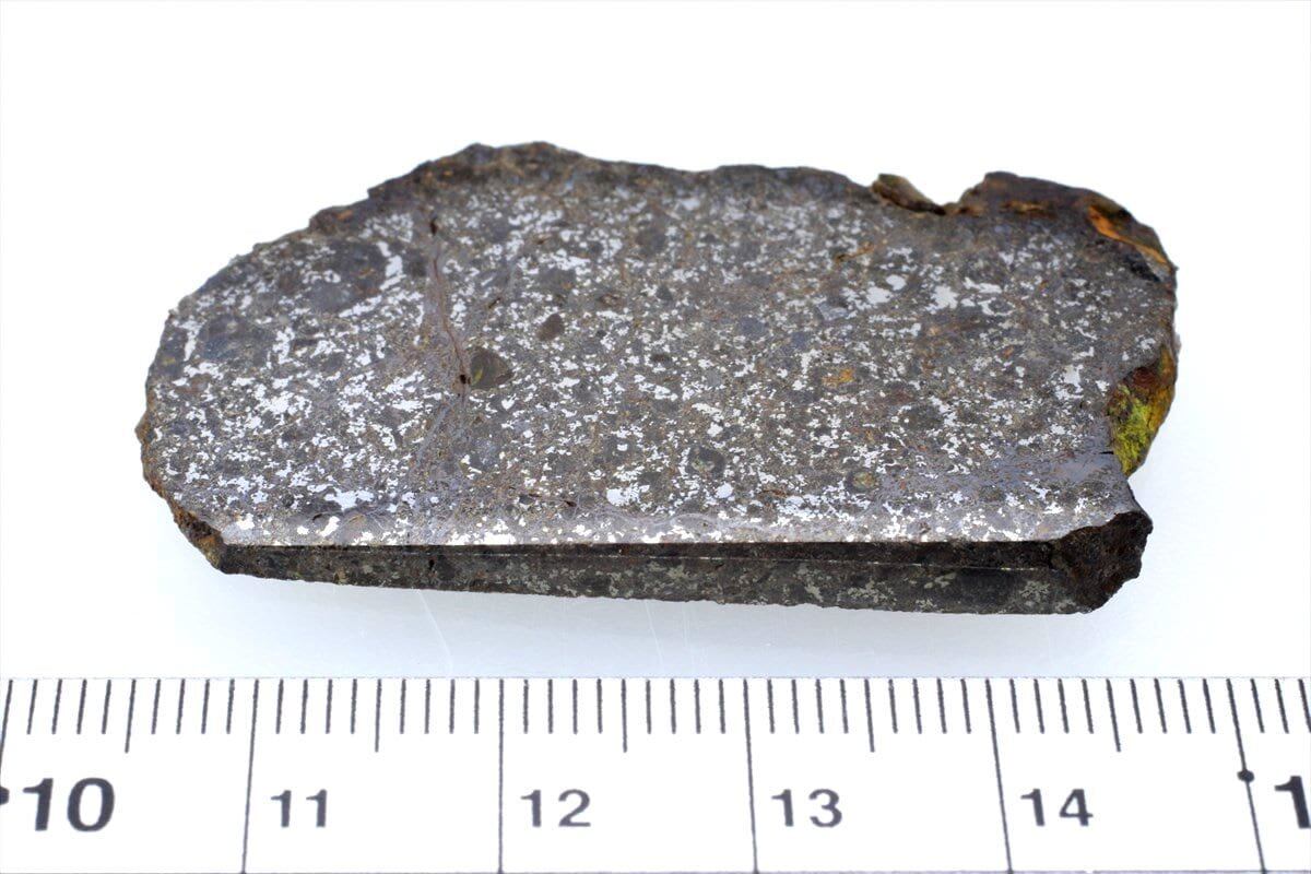 ヴァカムエルタ 12g スライス カット 標本 石鉄 隕石 メソシデライト