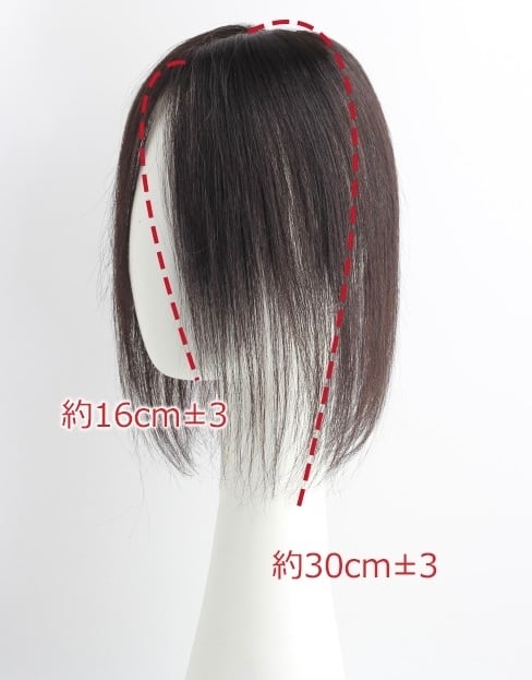 rei　精霊　ウイッグ 私元気！柔らかフィット通気性部分ウィッグ◎10×12cm髪の長さ30cm | fuwari