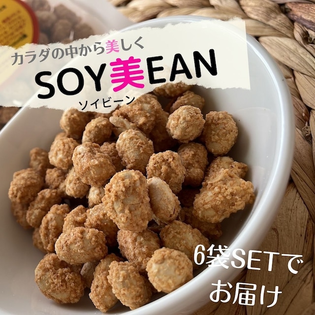 カラダの中から美しく"SOY美EAN"各６袋SET送料無料