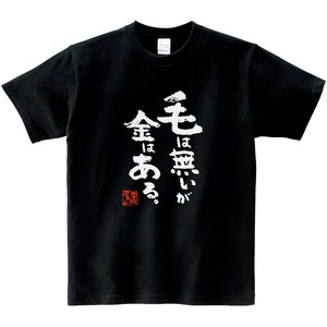 毛は無いが金はある。 Tシャツ ka500-06 漢字Tシャツ おもしろ Tシャツ 漢字 和柄 勉強 自虐