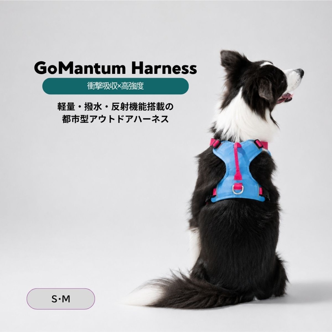 【puppygallery公式】 Go mentum harness S-M