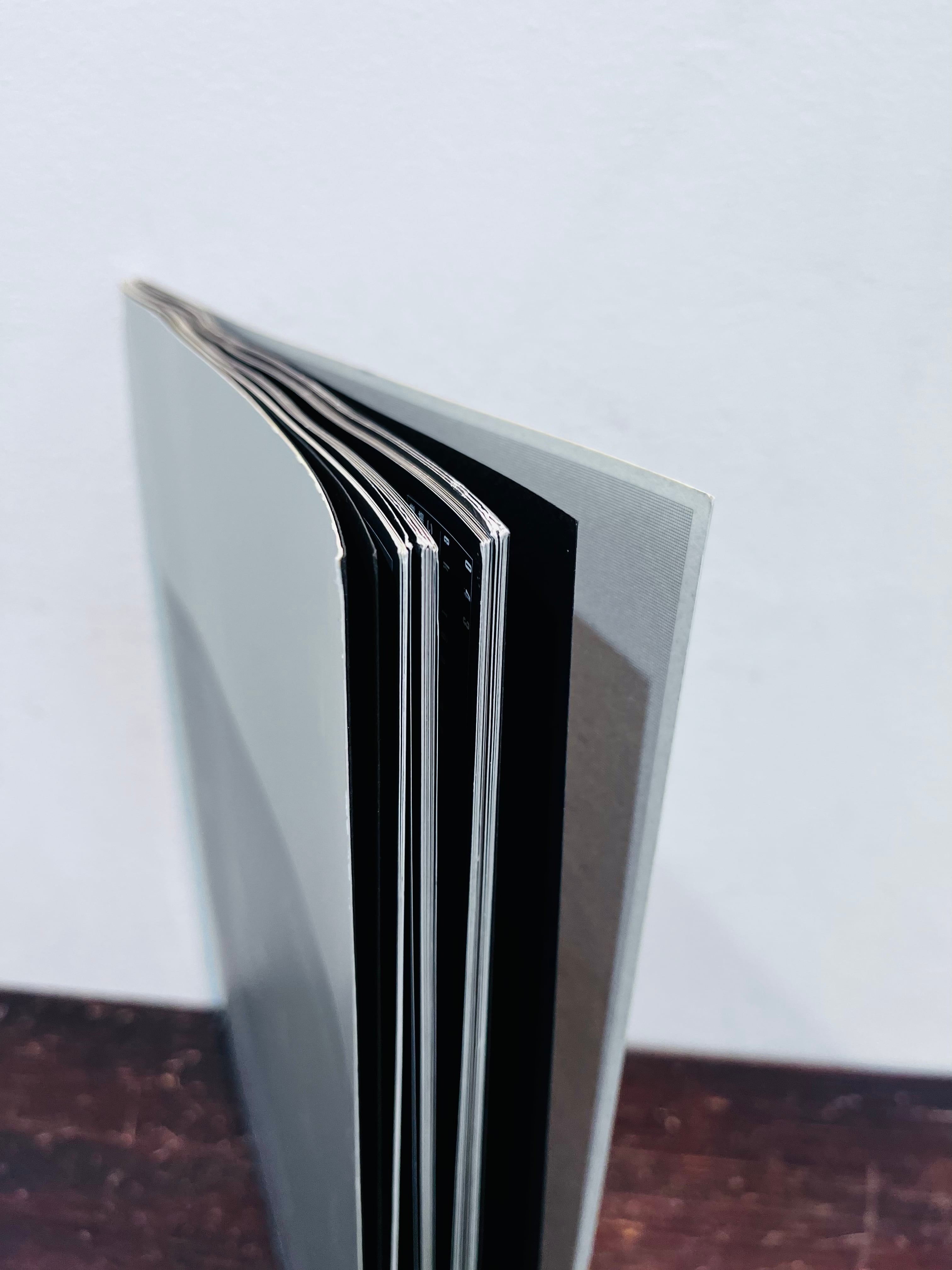空山基 メタリコーン 2000年 作品社 | zbooks