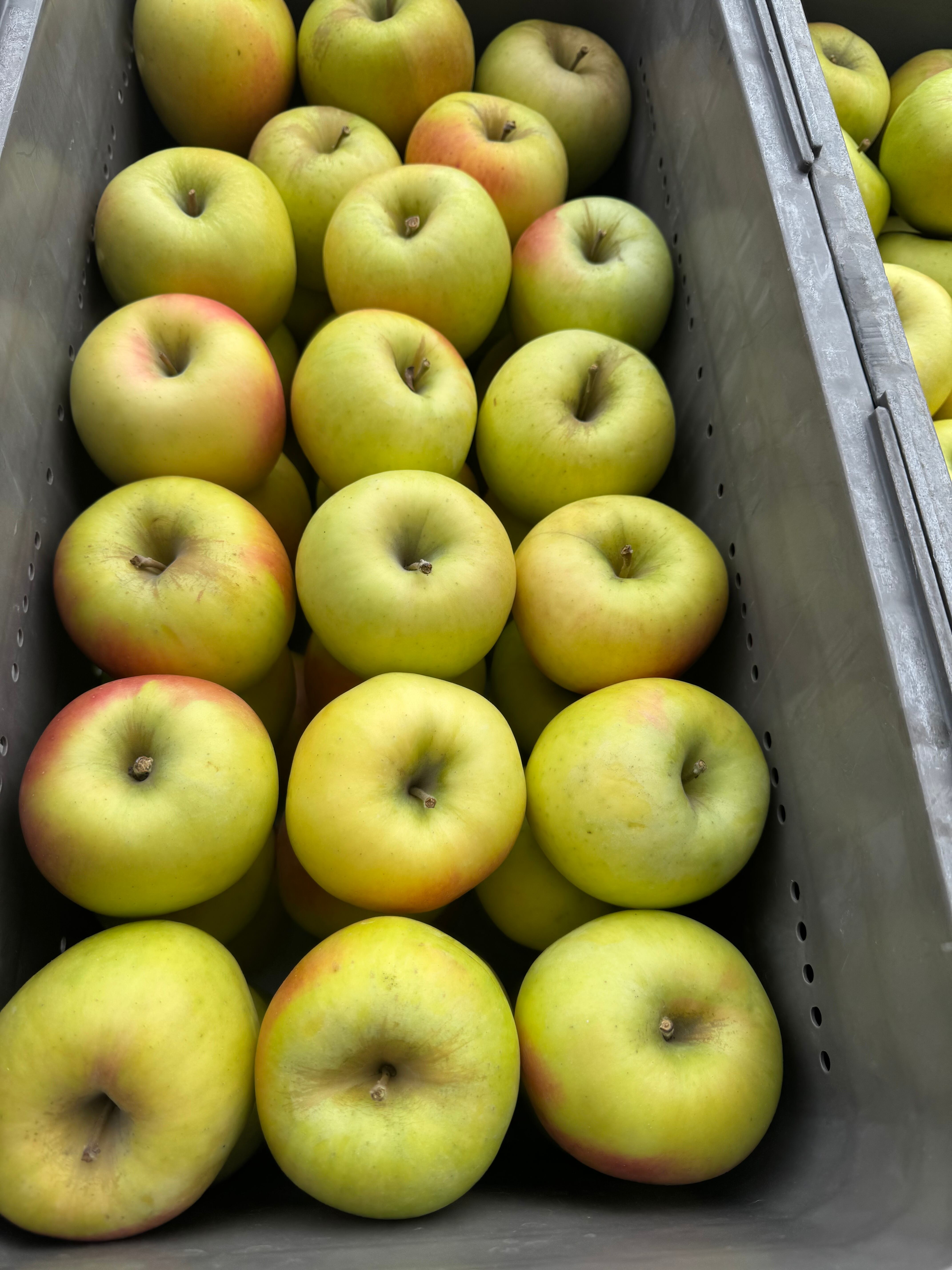 幻のりんご【ぐんま名月】完熟りんご青森県産。贈答用 名月3kg9個〜12