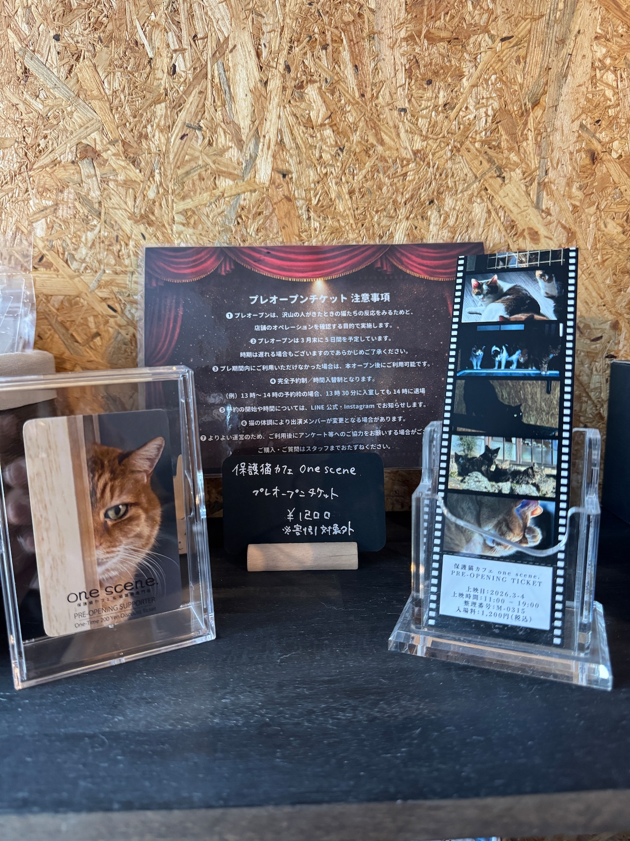 【期間限定】保護猫カフェ プレオープンチケット