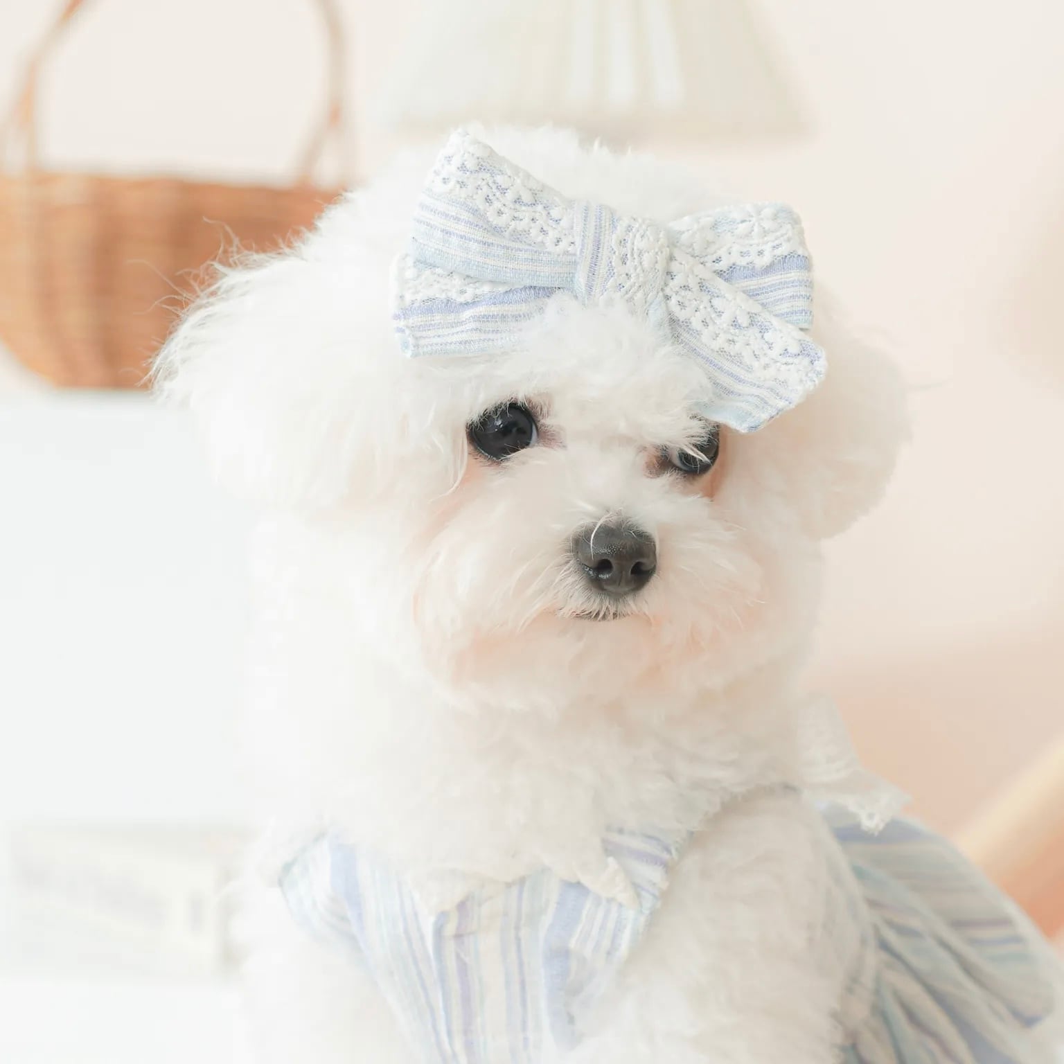 Sunkissed – Ribbon Hair Pin