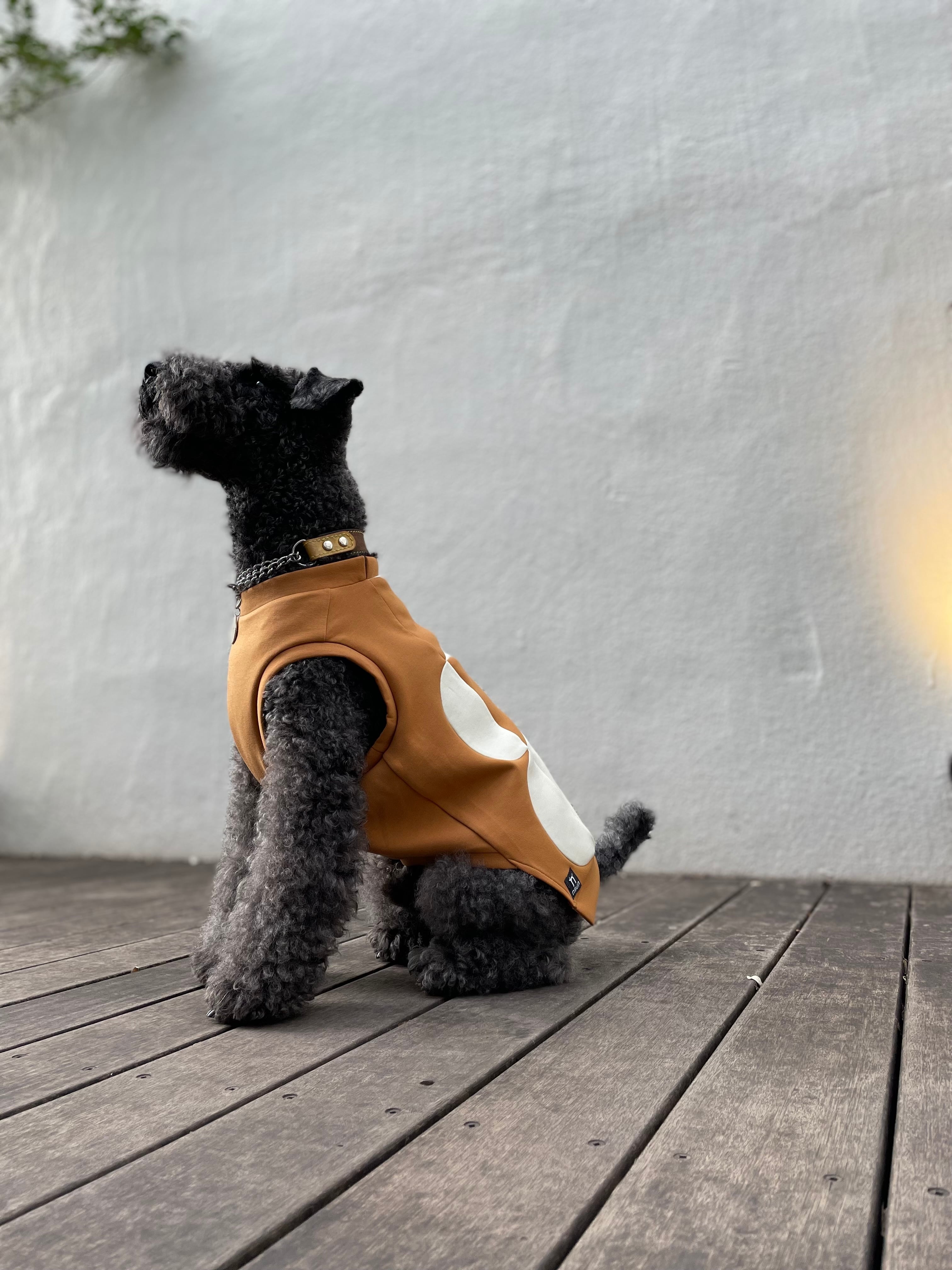 ハーフドット・タンクトップ〈TERRACOTTA＆CREAM〉 | n9un