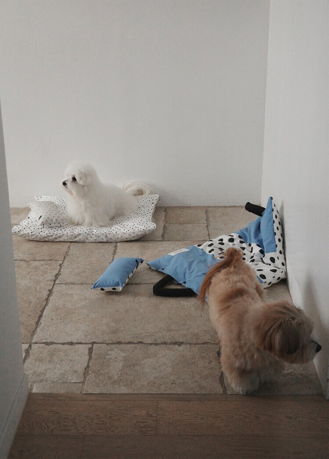 〈予約アイテム〉OHDIBS /Homey Warmy Topper -フルセット-