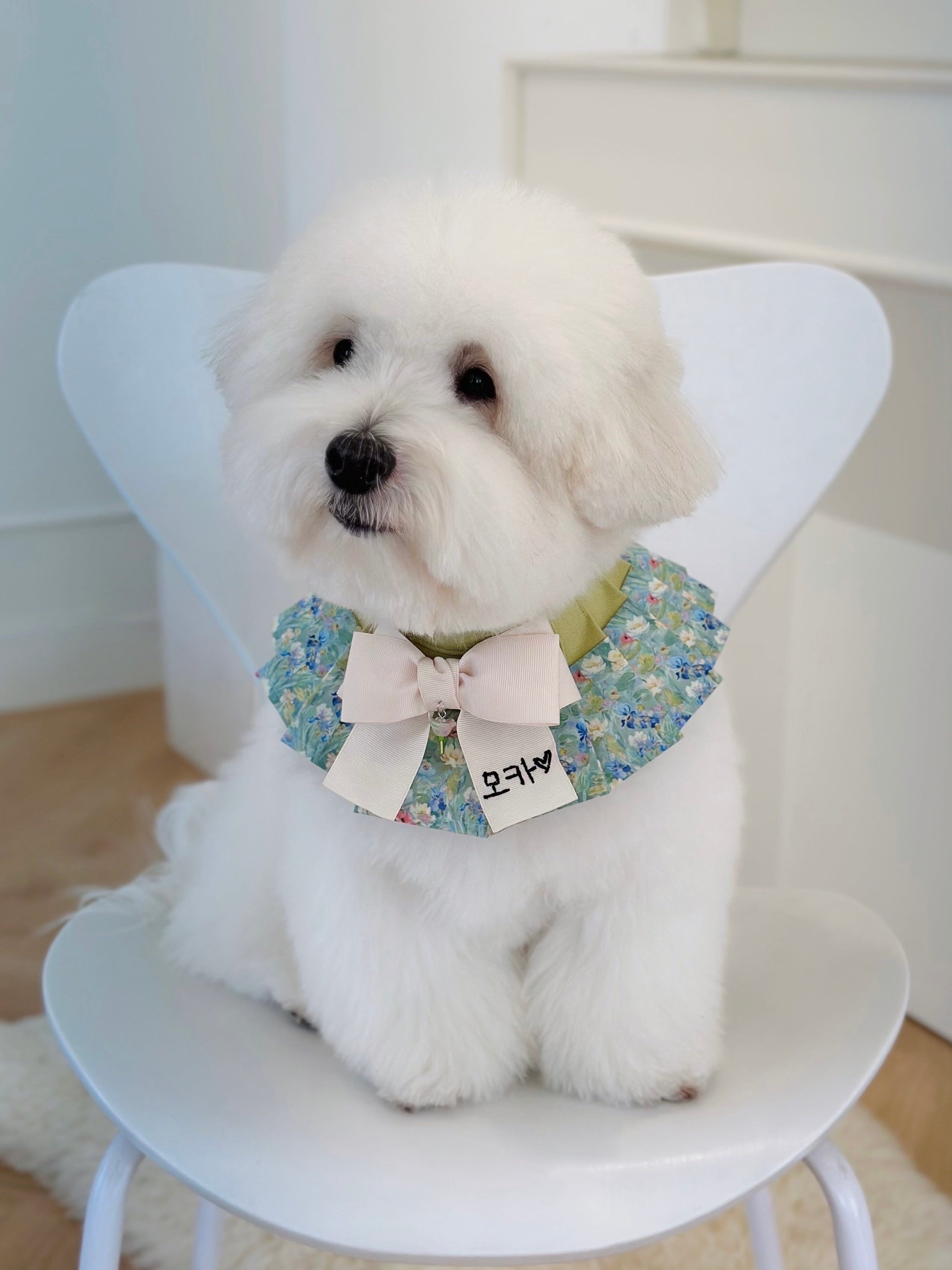 予約【26SS / MR.MOKA】Basic Accordion Cape