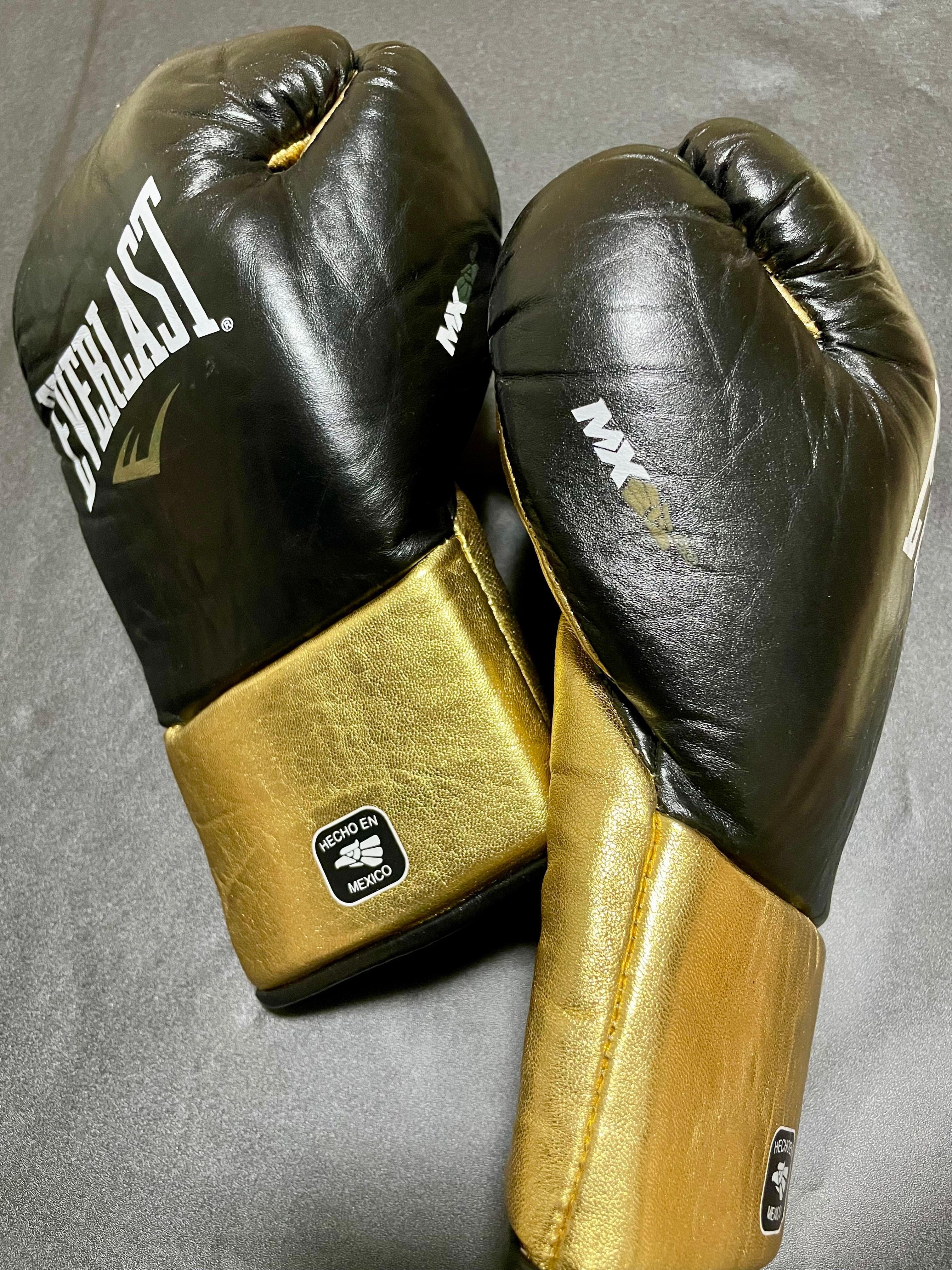 EVER LAST エバーラスト　グローブ　14oz 送料無料 EVERLAST（エバーラスト） 【並行輸入品】 ボクシンググローブ