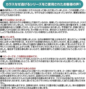 カラスなぜ逃げるキング2個セット カラス 撃退 カラスよけ カラス対策