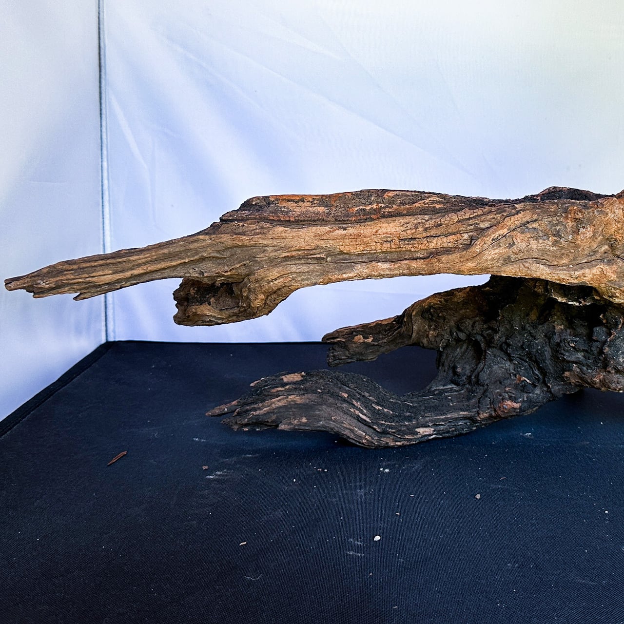 悠然と景色を支配する風景の核】ディープホーンウッド/Deep Hornwood