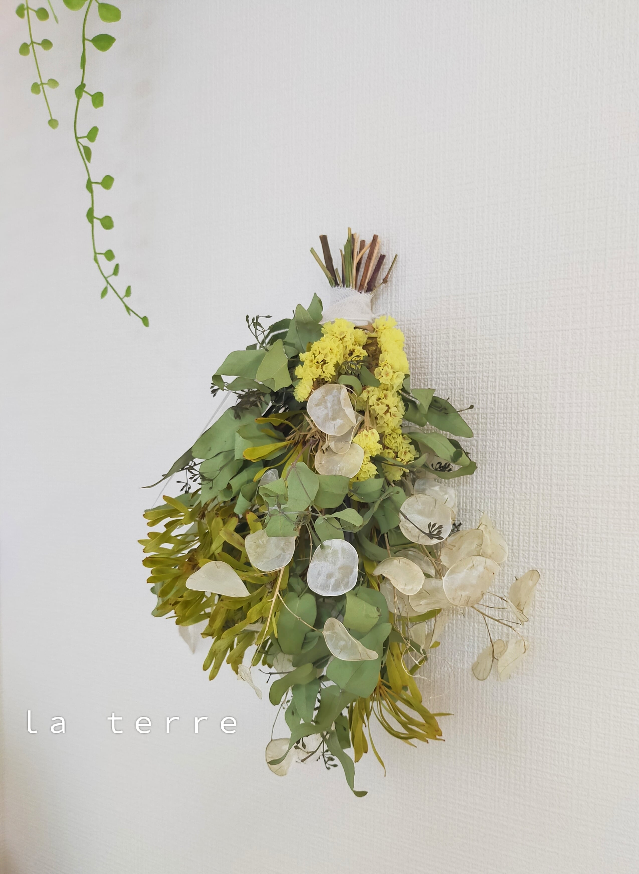 to early summer ユーカリとルナリアのスワッグ 41cm | La terre 