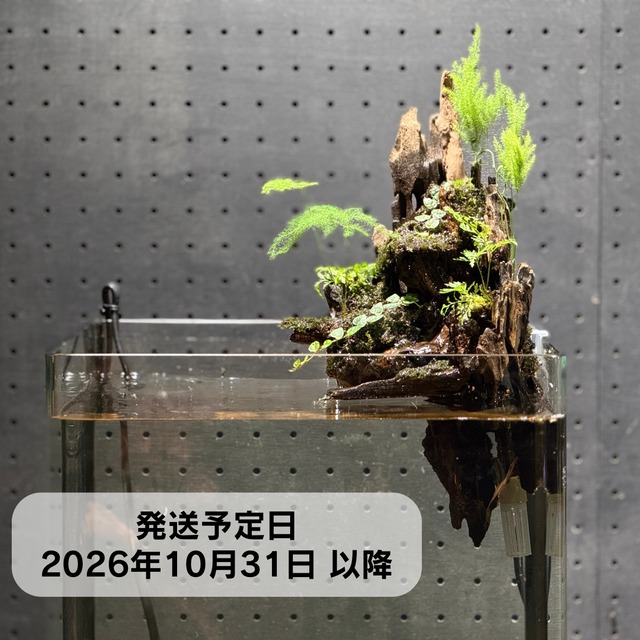 アクアテラリウム 浮根～fune～【137】｜水槽に引っかけるだけで
