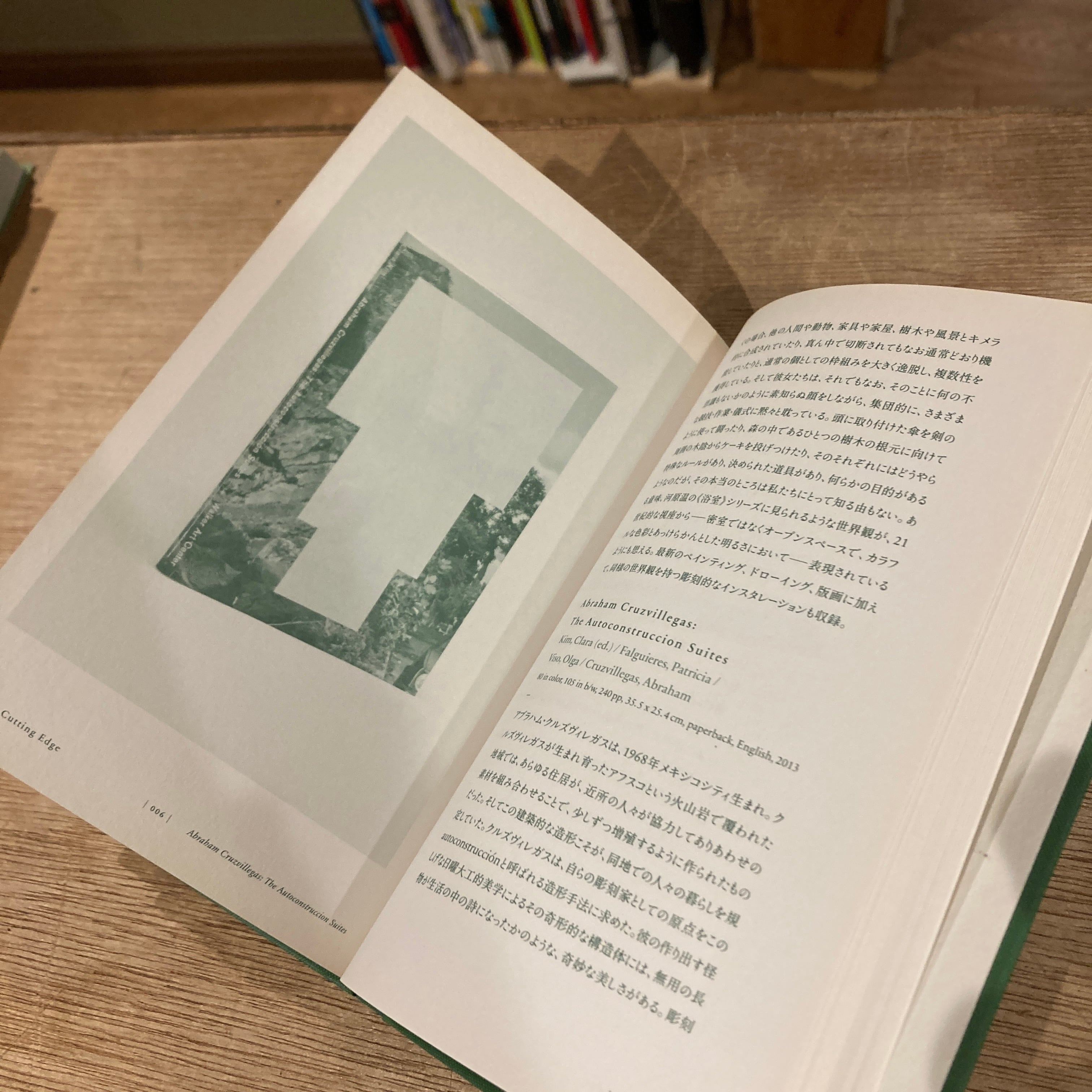 コンテンポラリー・アート・セオリー EOS Art Books Series 001 | 百年