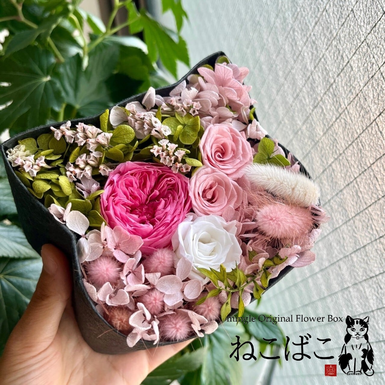 猫も杓子もネコ | 西麻布mingle