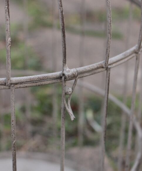 バードケージ 鳥かご アンティーク Lサイズ 高さ47cm おしゃれ