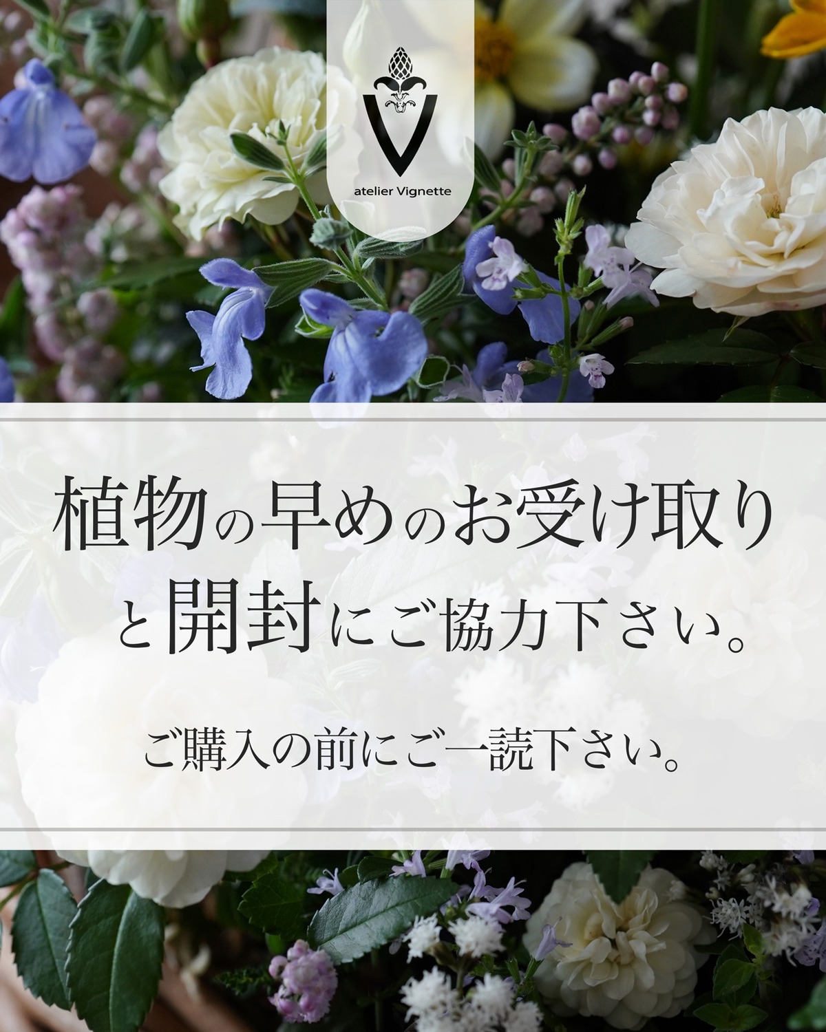 ご購入の前にご一読下さい。 | アトリエ ヴィネット（寄せ植え、花苗 