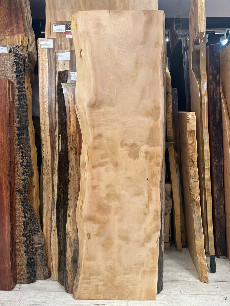 OUTLET】栃（トチ）_1950×570-500×45_新宿店_テーブル天板/一枚板 2200