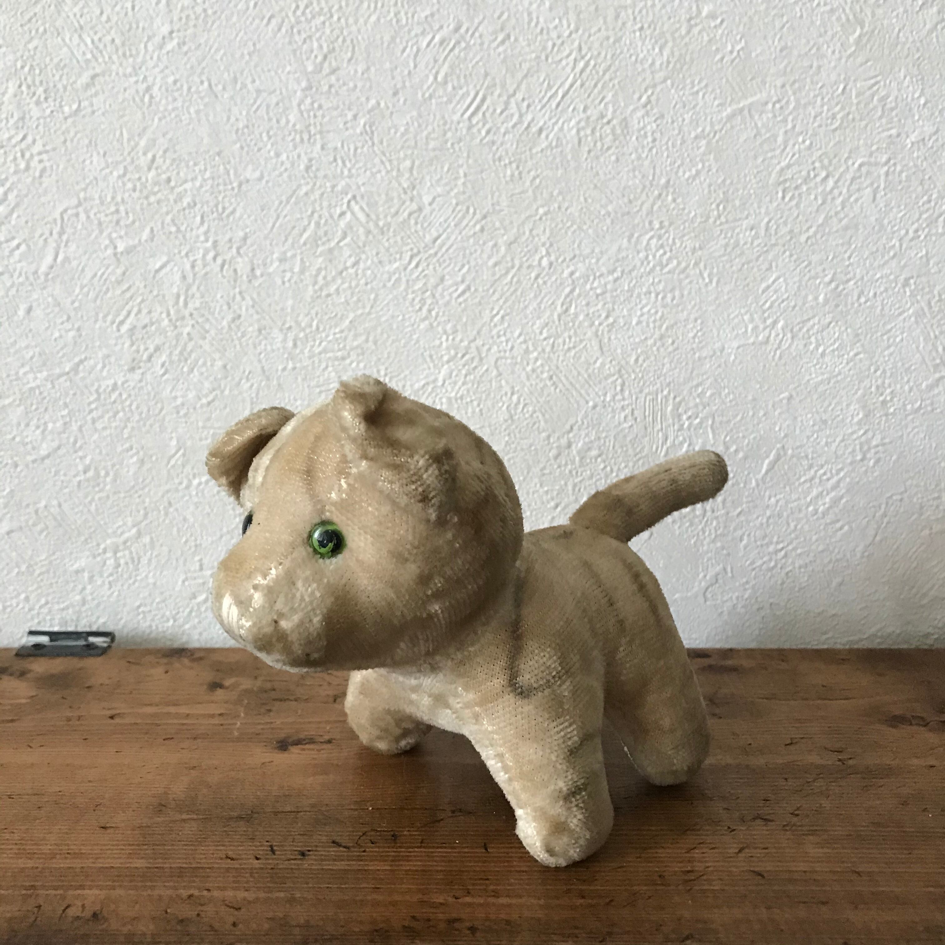 前のめりなネコ