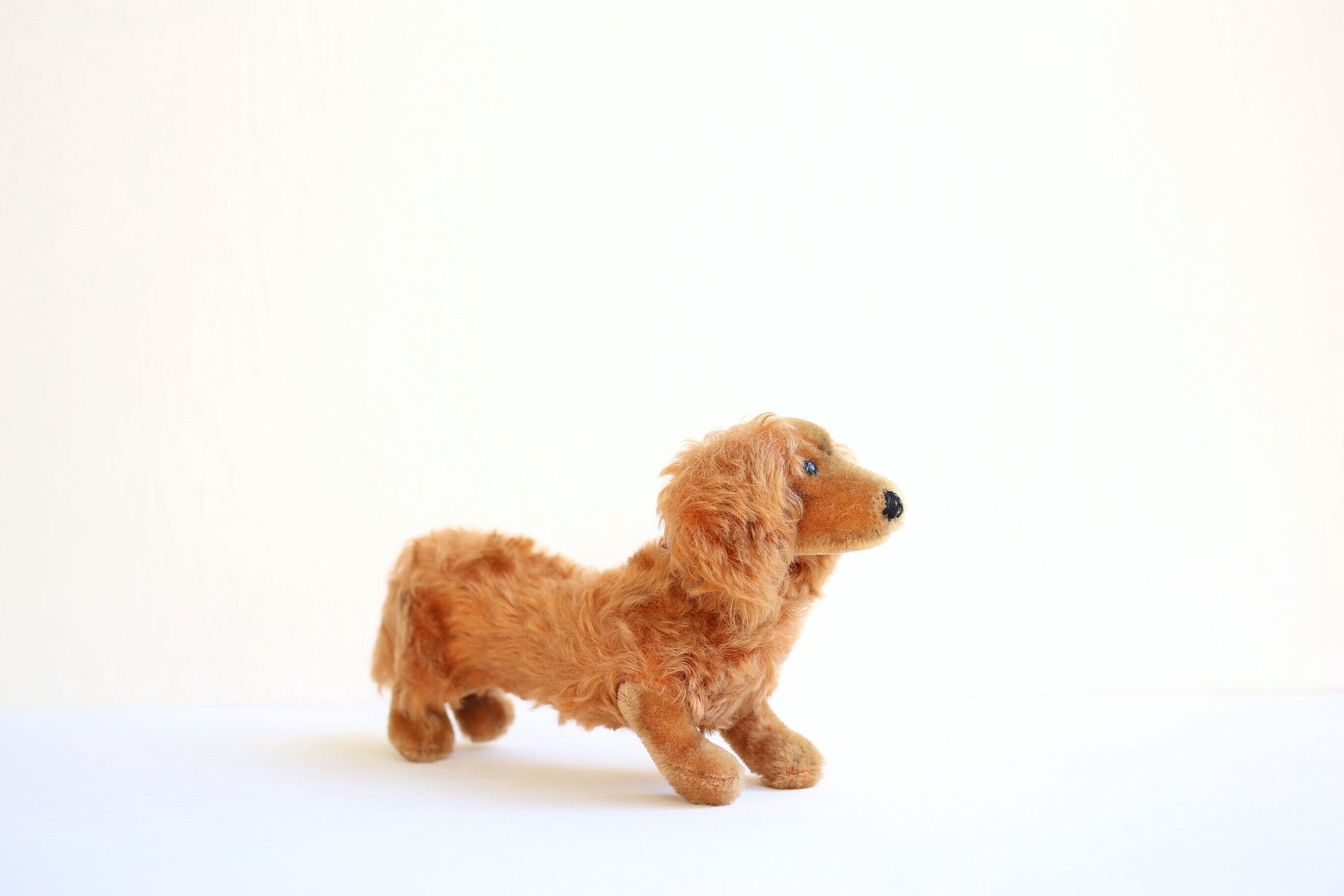 ドイツ ヴィンテージ Steiff シュタイフ ダックスフント『WALDI』 N