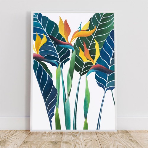 ストレリチアの絵 / アートポスター 植物 絵画 2L〜 カラー アートプリント 自然 観葉植物 ゴクラクチョウカ ストレチア