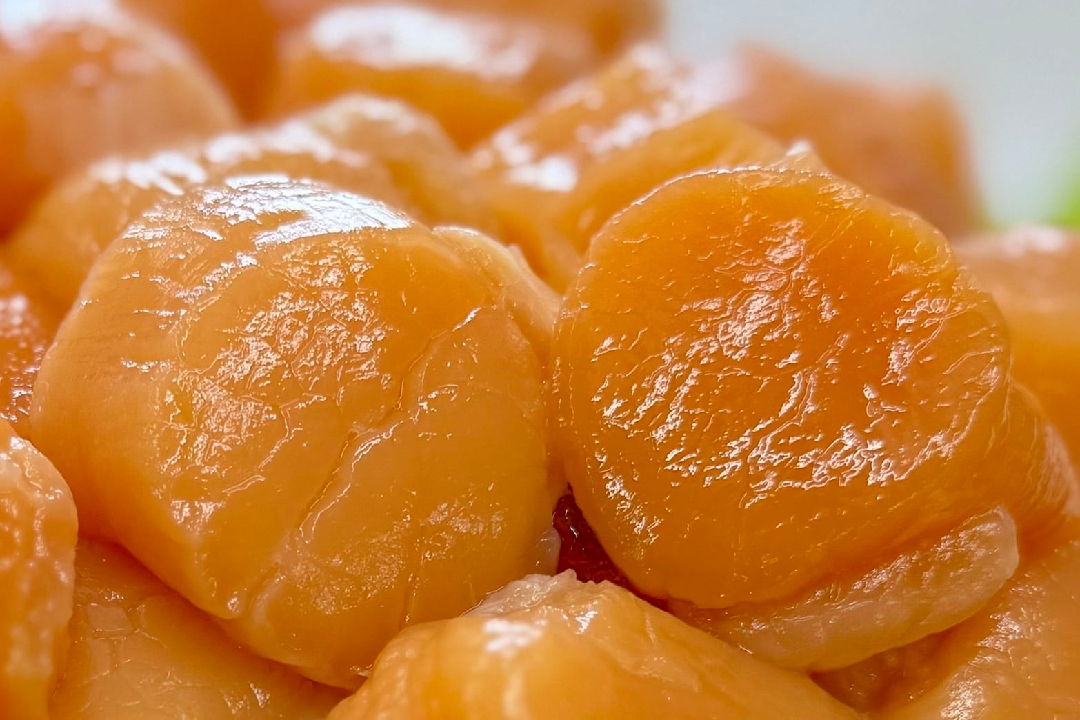 天然ほたて貝柱（赤玉）1kg【冷凍】 | オホーツク紋別マルカイチ水産